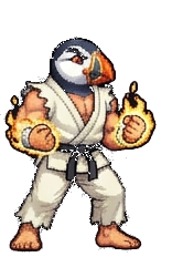 Koa